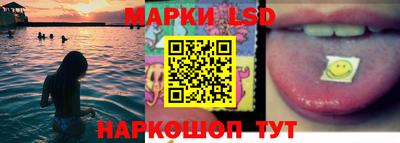 ПСИЛОЦИБИНОВЫЕ ГРИБЫ Камышлов