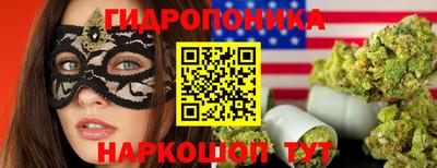 ПСИЛОЦИБИНОВЫЕ ГРИБЫ Камышлов
