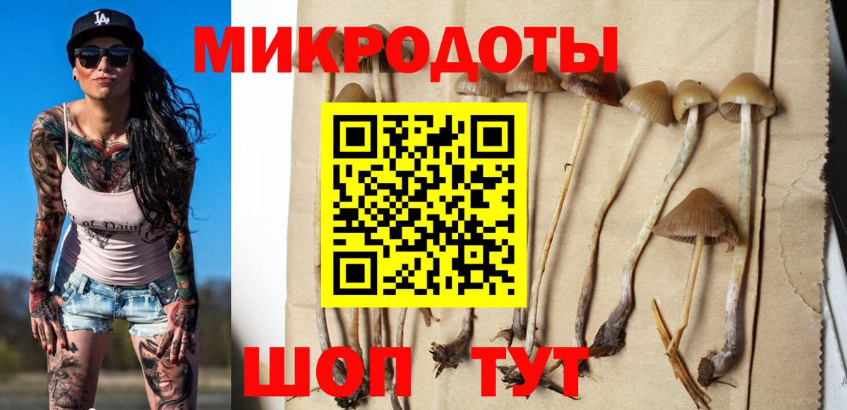 Галлюциногенные грибы MAGIC MUSHROOMS  Галлюциногенные грибы MAGIC MUSHROOMS  Балашов  Вход с VPN 